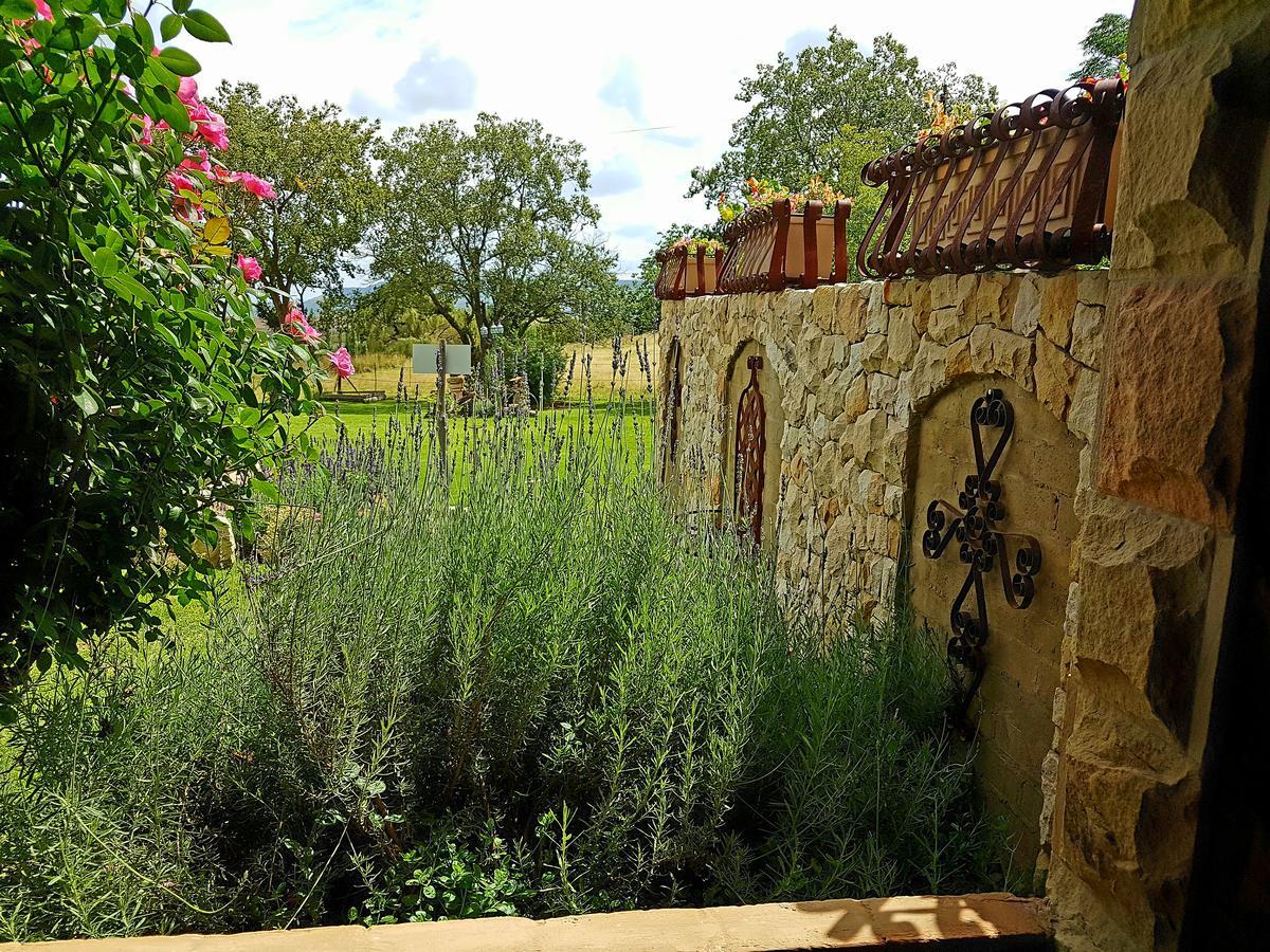 Affi Lande Boetiek Guestfarm Villa Fouriesburg Exteriör bild